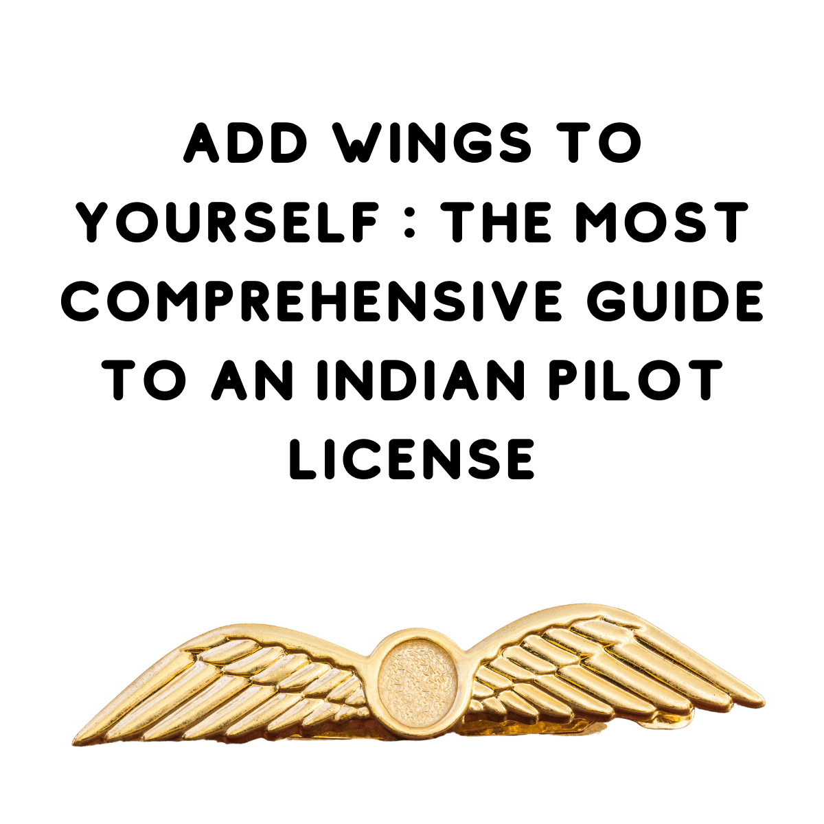 Add Wings to yourself : Becoming a Pilot